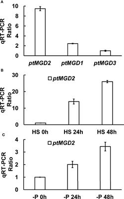 Functional Characterization of the Monogalactosyldiacylglycerol Synthase Gene ptMGD2 in the Diatom Phaeodactylum tricornutum